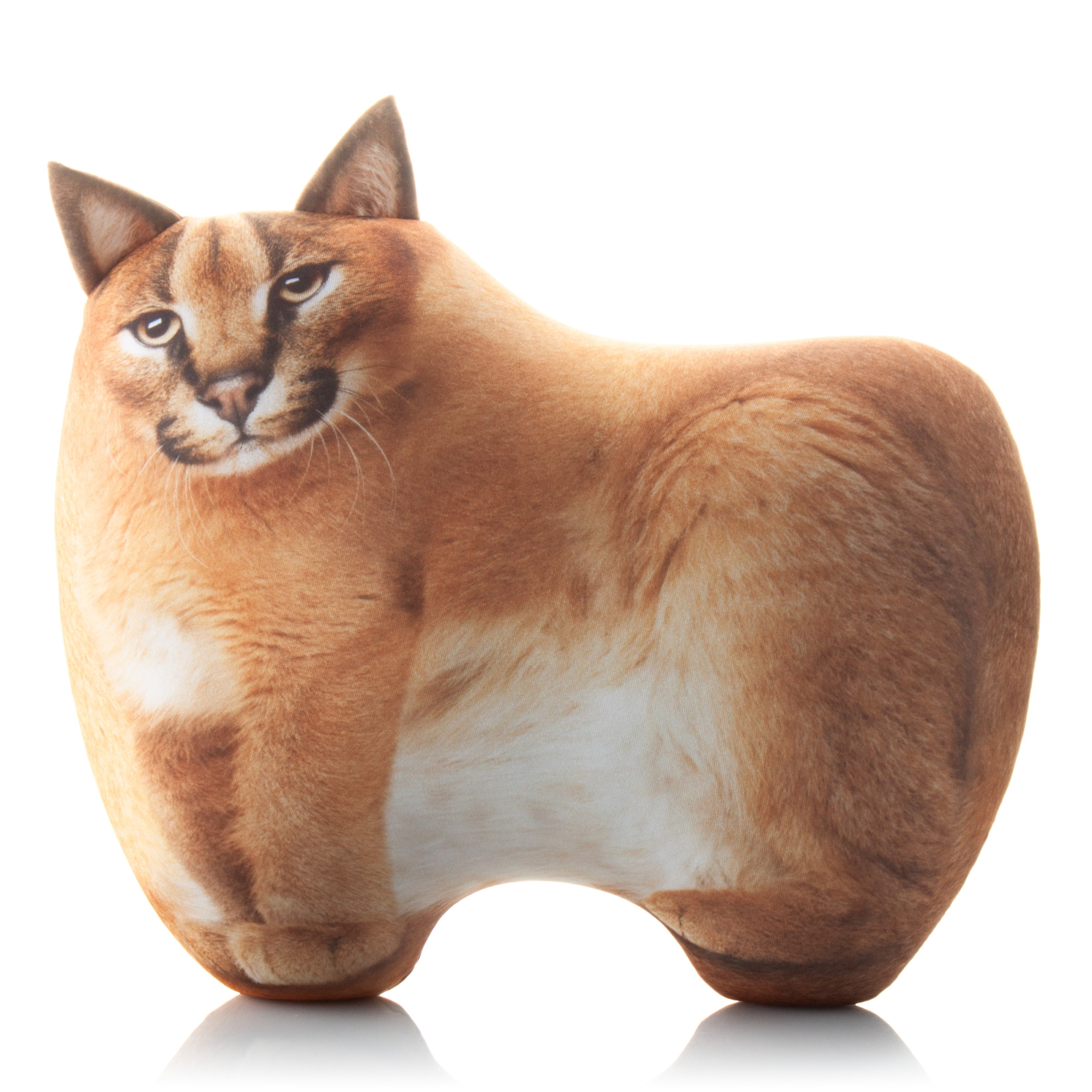 393 Рысь с Пельменями внутри 1