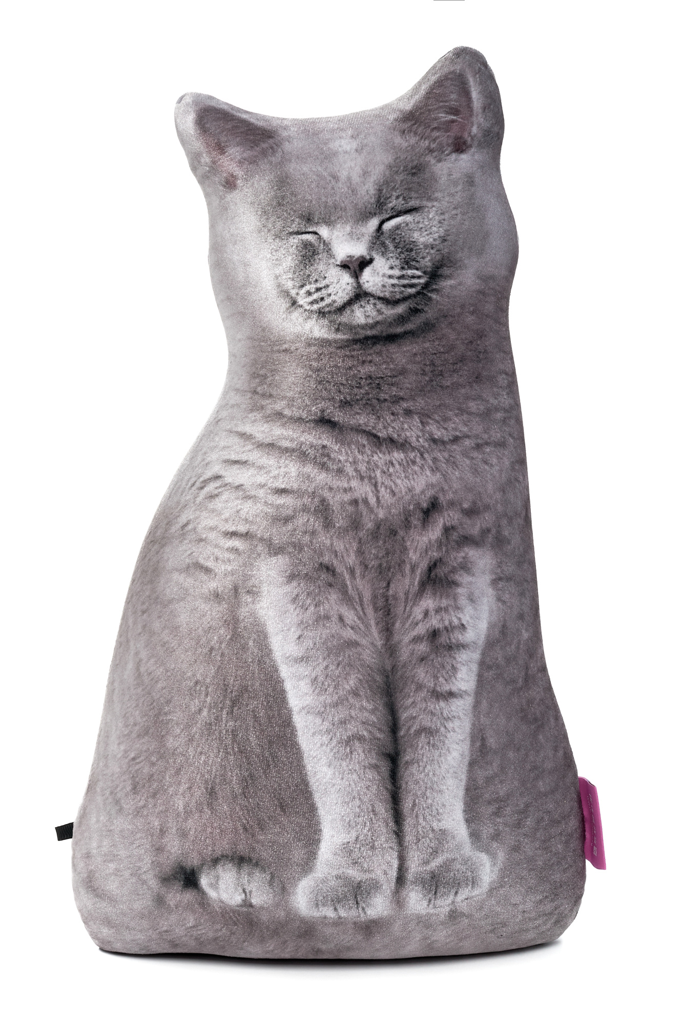 241 Настоящий Серый Кот 1