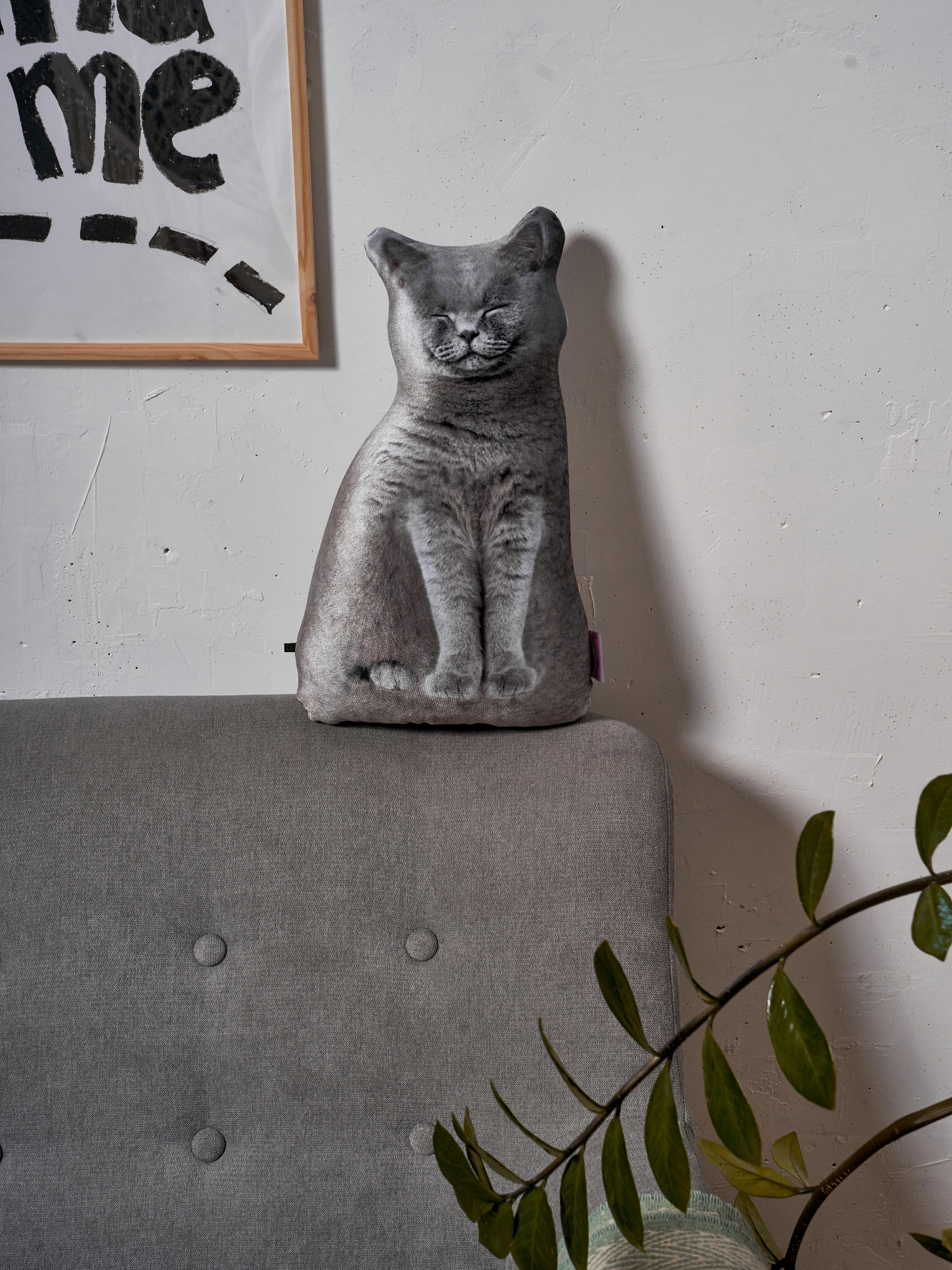 241 Настоящий Серый Кот 3