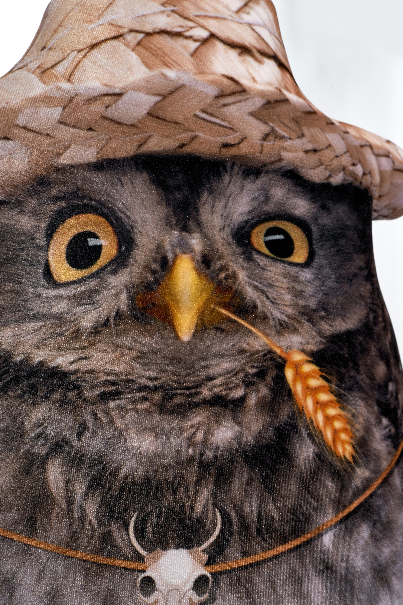 244 Настоящая Сова 5