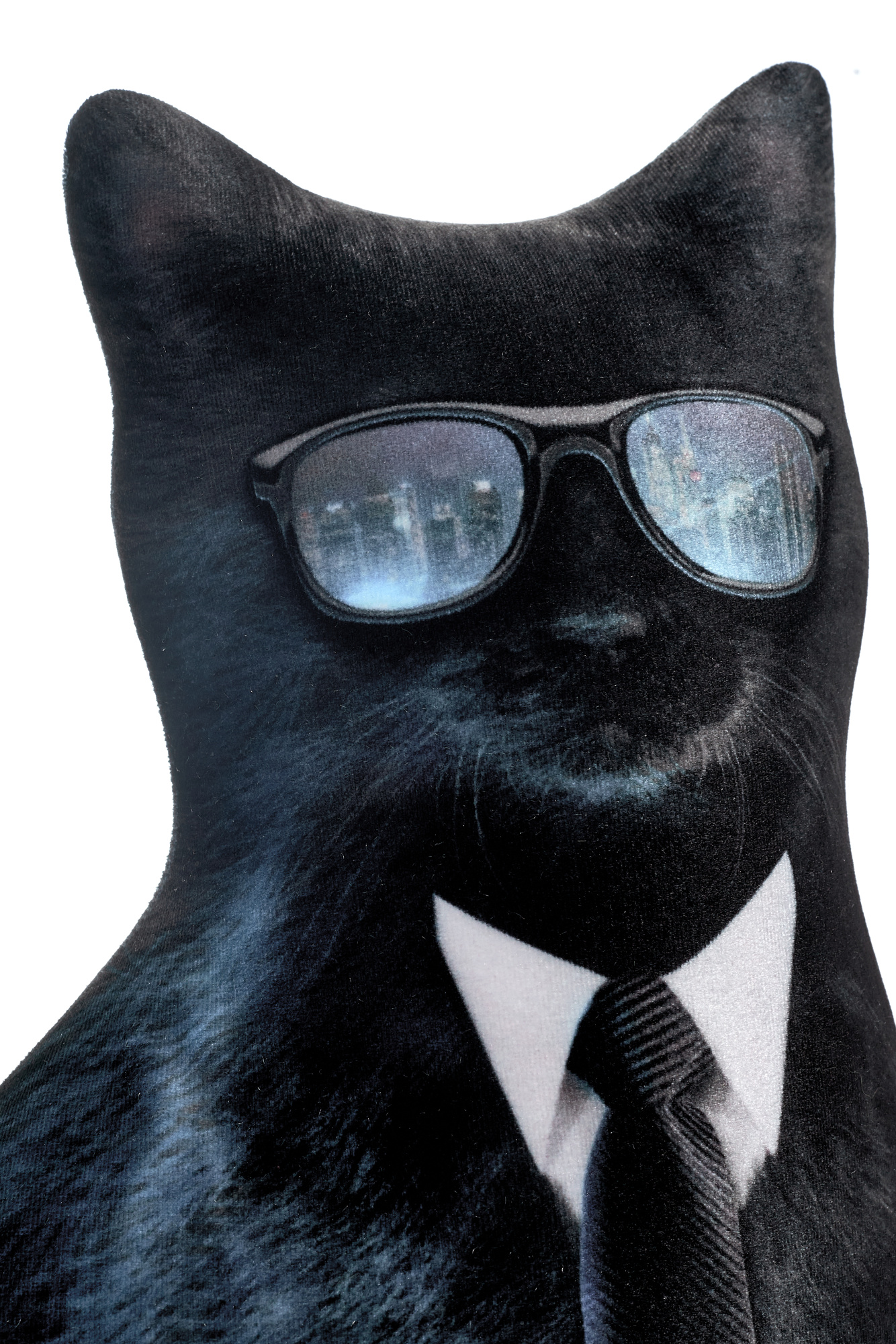 246 Настоящий Черный Кот 5