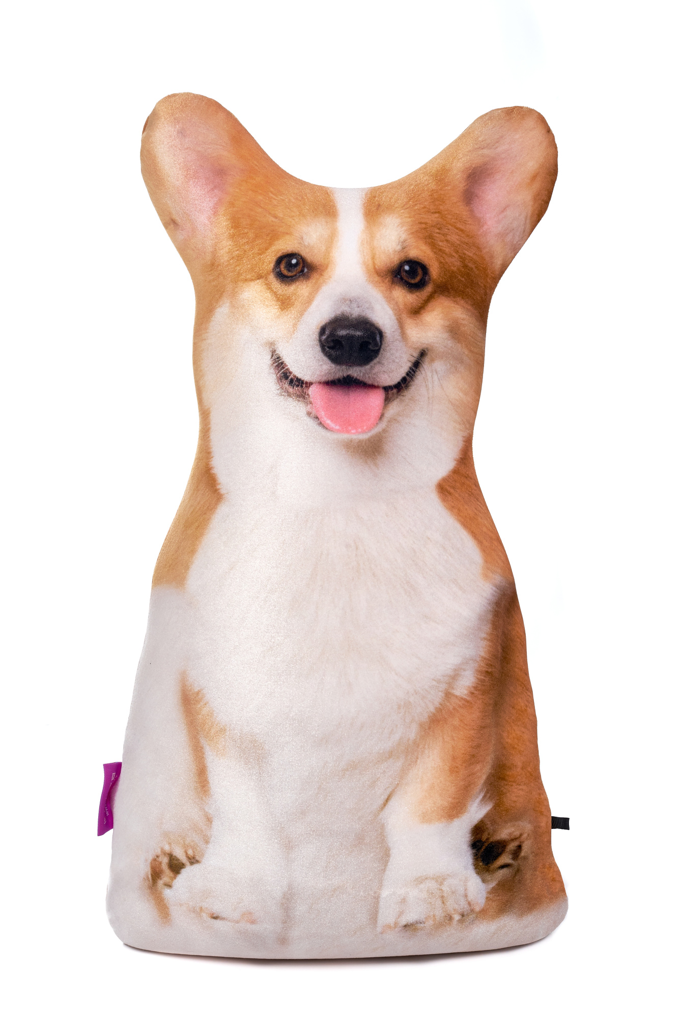 239 Настоящий Корги 2