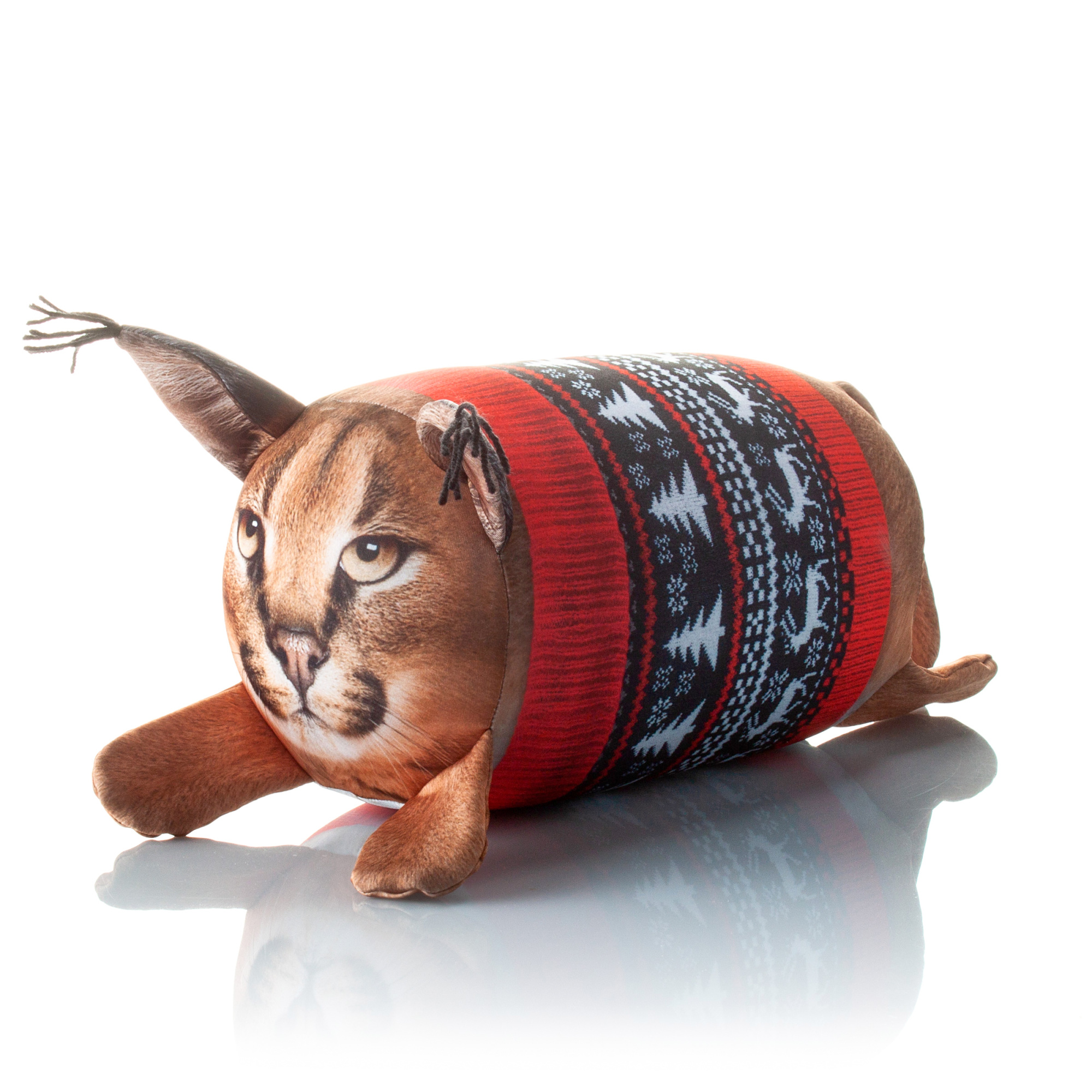 402 Настоящая Рысь в Свитере 1