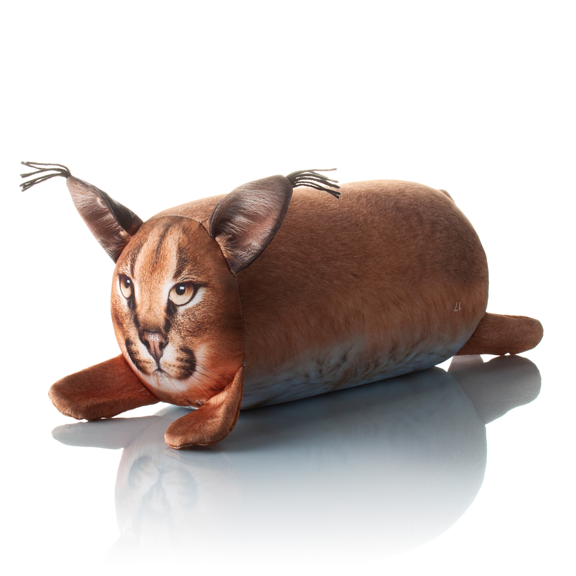 395 Большая Рысь 1