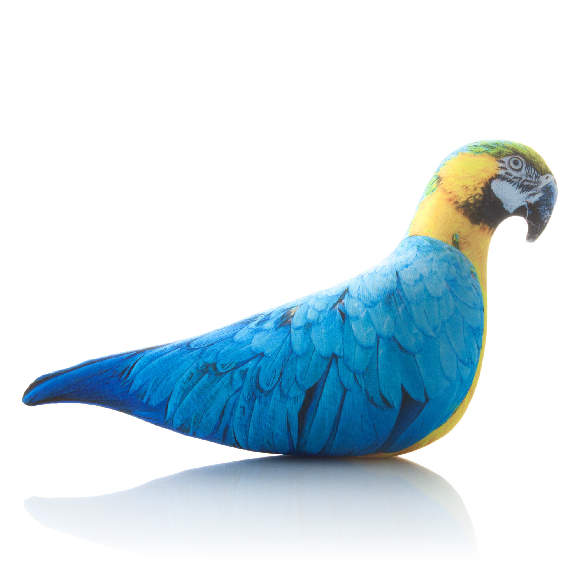 401 Настоящий Попугай Ара 3