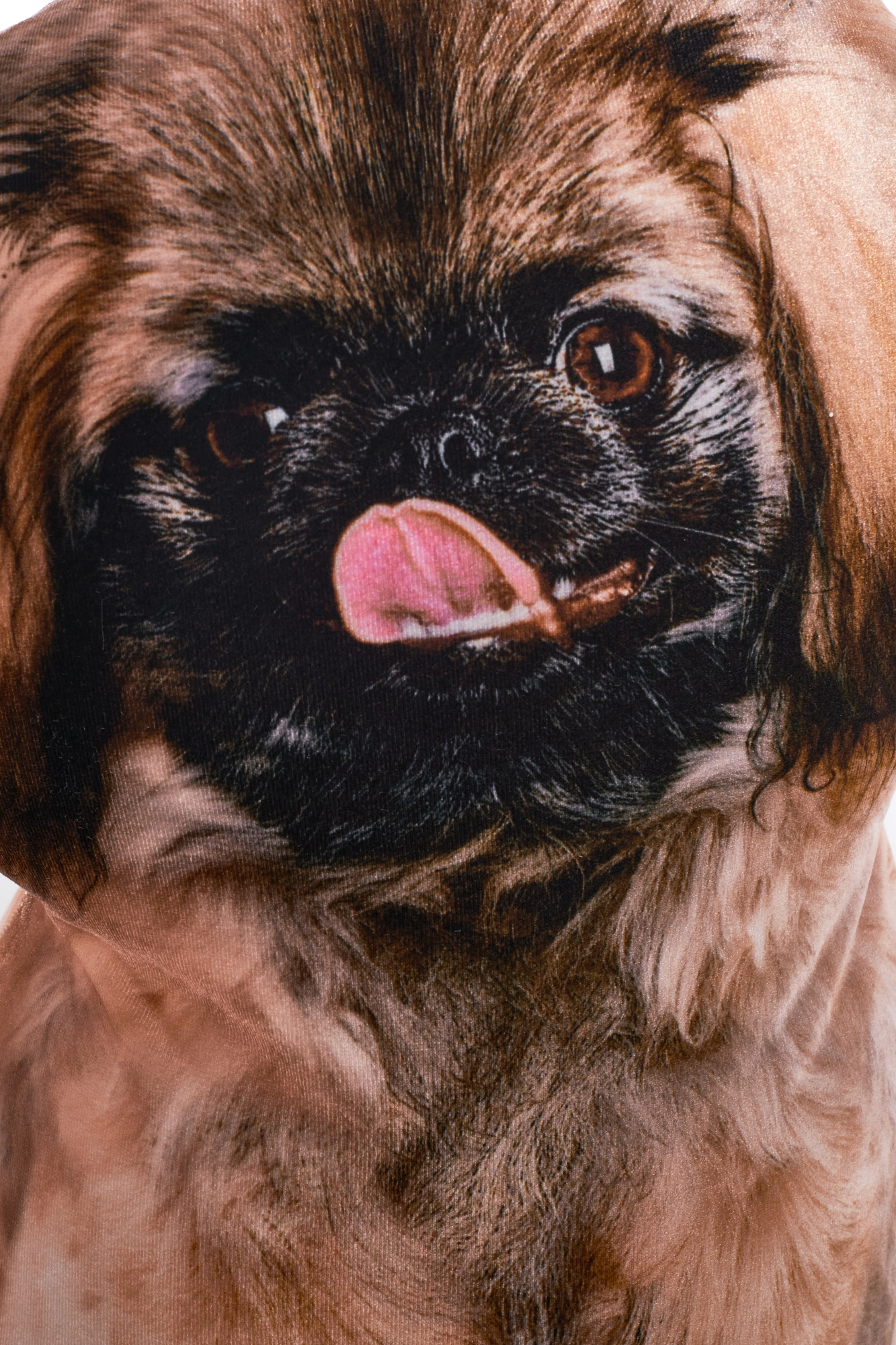 248 Настоящий Пекинес 5